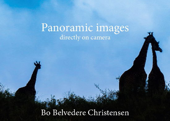 Panoramic images - Bo Belvedere Christensen; Bo Belvedere Christensen - Kirjat - Books on Demand - 9788743029410 - keskiviikko 17. helmikuuta 2021