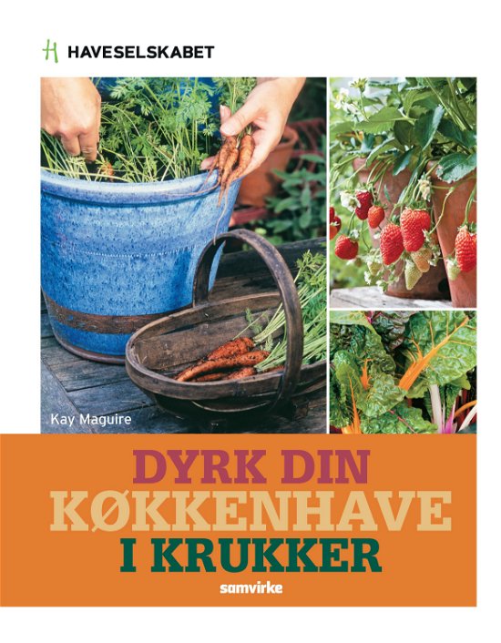 Dyrk din køkkenhave i krukker - Kay Maguire - Bücher - Samvirke - 9788792894410 - 17. März 2014