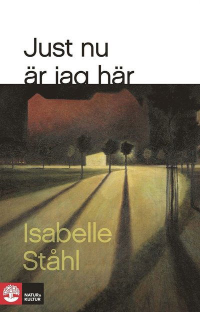 Cover for Isabelle Ståhl · Just nu är jag här (ePUB) (2017)