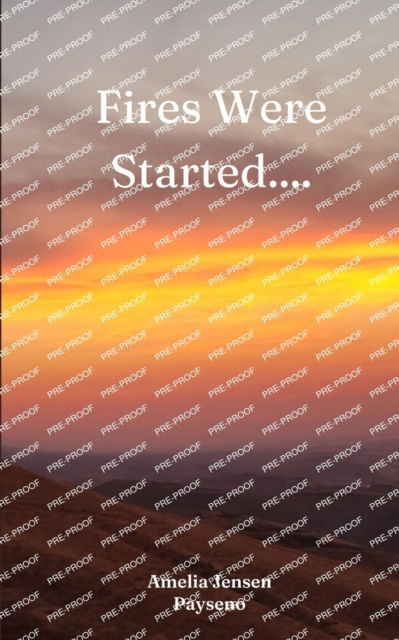 Fires Were Started.... - Amelia Jensen Payseno - Books - BookLeaf Publishing - 9789357212410 - 2023