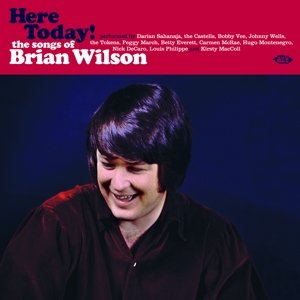 Cover for Brian Wilson · Here Today! - the Songs of Brian Wilson (LP) (2016)