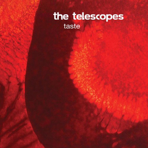 Cover for The Telescopes · Taste (LP) [Limited edition] (2011)