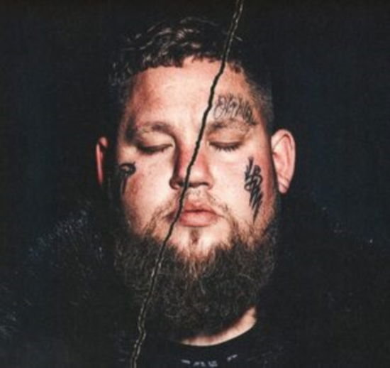 Cover for Ragnbone Man · Life By Misadventure (LP) (2021)