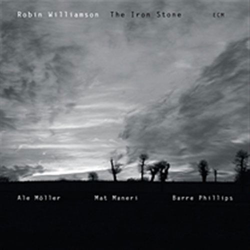 Robin Williamson · Iron Stone (CD) (2007)