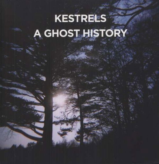 Cover for Kestrels · Ghost History (LP) (2012)