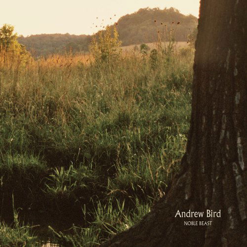 Noble Beast - Andrew Bird - Muziek - FATPOSSUM - 0767981112411 - 20 januari 2009