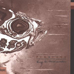 Cover for Puracane · Things You Should Leave Alone (LP) (2000)