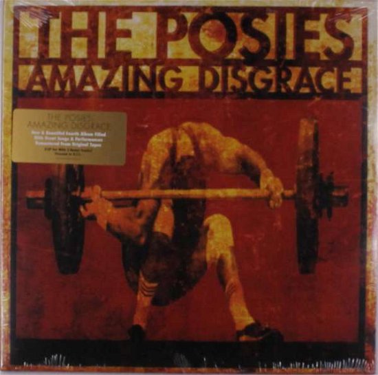 Cover for Posies · Amazing Disgrace (LP) [Standard edition] (2018)