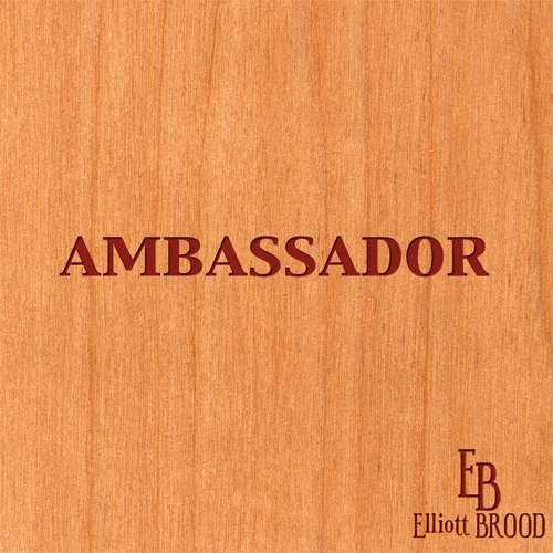 Cover for Elliott Brood · Ambassador (LP) (2016)