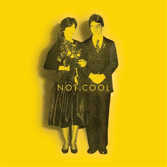 Cover for Tim Easton · Not Cool (LP) (2023)