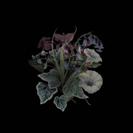 Wildflowers - Nhor - Music - LUPUS LOUNGE - 0884388407411 - June 22, 2018