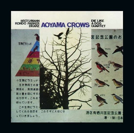 Cover for Die Like A Dog Quartet · Aoyama Crows (CD) (2018)