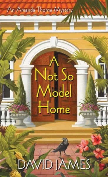 Cover for David James · A Not So Model Home (Pocketbok) (2015)