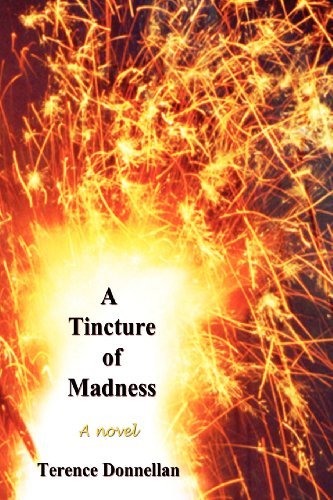 Cover for Terence Donnellan · A Tincture of Madness (Paperback Book) (2012)