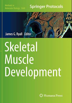 Cover for Skeletal Muscle Development - Methods in Molecular Biology (Paperback Book) [Softcover reprint of the original 1st ed. 2017 edition] (2018)
