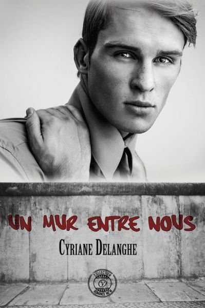 Cover for Cyriane Delanghe · Un mur entre nous (Paperback Book) (2016)