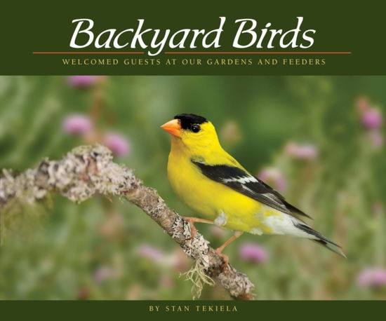 Backyard Birds: Welcomed Guests at Our Gardens and Feeders - Wildlife Appreciation - Stan Tekiela - Livros - Adventure Publications, Incorporated - 9781591936411 - 20 de outubro de 2016