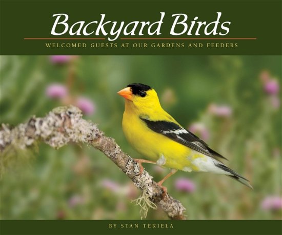 Cover for Stan Tekiela · Backyard Birds: Welcomed Guests at Our Gardens and Feeders - Wildlife Appreciation (Paperback Bog) (2016)