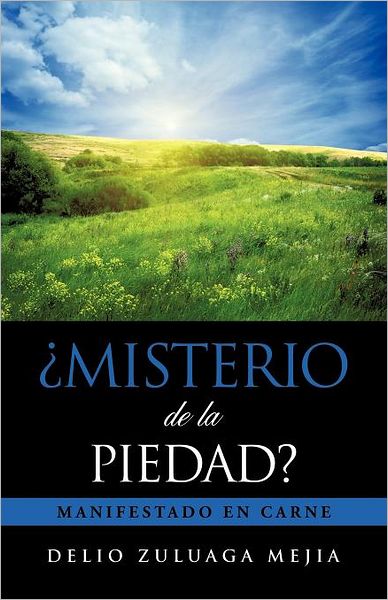Cover for Delio Zuluaga Mejia · Misterio De La Piedad? (Paperback Book) [Spanish edition] (2011)