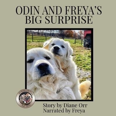 Cover for Diane Orr · Odin and Freya's Big Surprise (Paperback Book) (2022)
