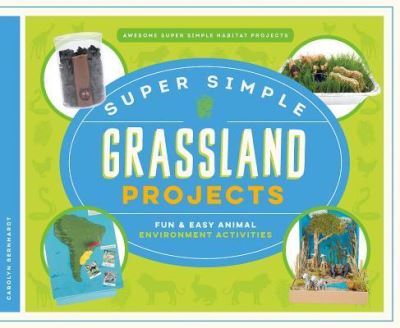 Super Simple Grassland Projects - Carolyn Bernhardt - Książki - ABDO Publishing Co - 9781680784411 - 15 grudnia 2016