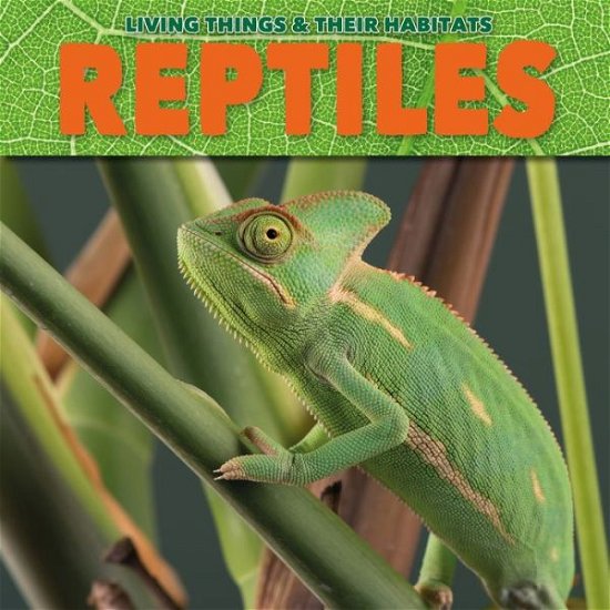 Reptiles - Grace Jones - Libros - BookLife Publishing - 9781786376411 - 1 de junio de 2019
