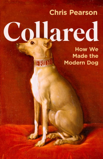 Cover for Chris Pearson · Collared: How We Made the Modern Dog (Gebundenes Buch) [Main edition] (2024)