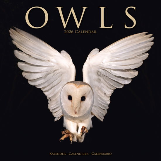 Cover for Owls Calendar 2026  Square Birds Wall Calendar - 16 Month (Calendar) (2025)