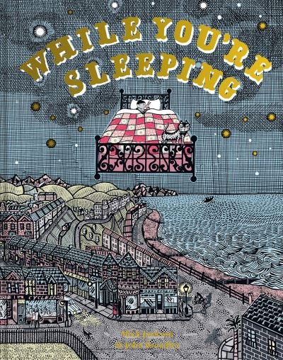 While You're Sleeping - Mick Jackson - Bøker - HarperCollins Publishers - 9781843655411 - 13. oktober 2022