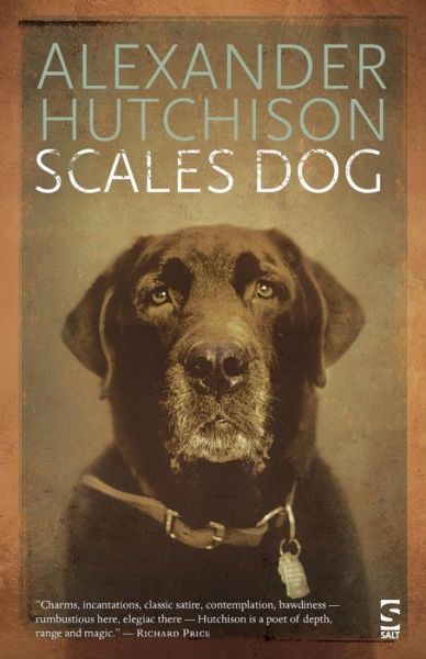 Cover for Alexander Hutchison · Scales Dog: New and Selected Poems - Salt Modern Poets (Paperback Bog) (2009)