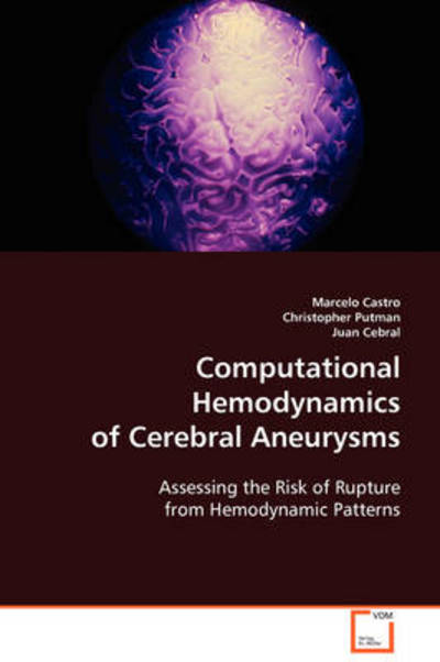 Computational Hemodynamics of Cerebral Aneurysms - Juan Cebral - Books - VDM Verlag - 9783639094411 - November 21, 2008
