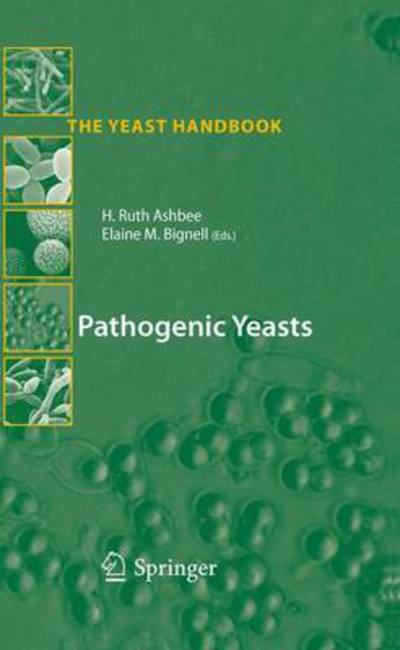 Pathogenic Yeasts - The Yeast Handbook - Ruth Ashbee - Kirjat - Springer-Verlag Berlin and Heidelberg Gm - 9783642261411 - keskiviikko 14. maaliskuuta 2012