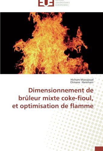 Cover for Otmane Hammani · Dimensionnement De Brûleur Mixte Coke-fioul, et Optimisation De Flamme (Paperback Book) [French edition] (2018)