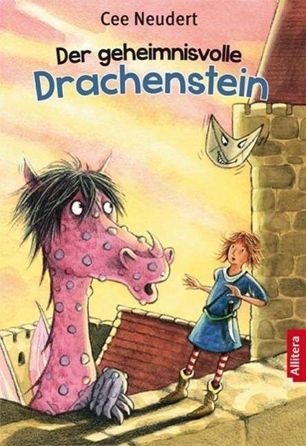 Cover for Neudert · Der geheimnisvolle Drachenstein (Buch)