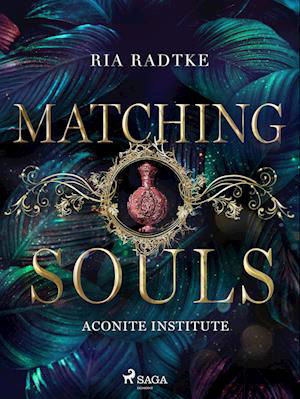 Cover for R. Radtke · Matching Souls (Bok)