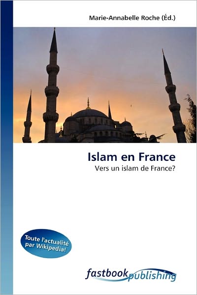 Cover for Roche · Islam en France (Book) (2011)