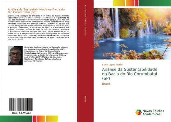 Cover for Ribeiro · Análise da Sustentabilidade na (Book)