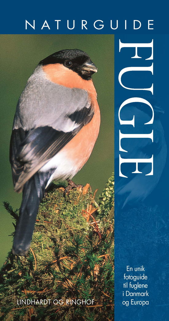 Cover for Jonathan Elphick · Naturguide Fugle (Bound Book) [2º edição] (2023)