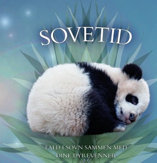Cover for Sovetid (Cardboard Book) [1. Painos] (2021)