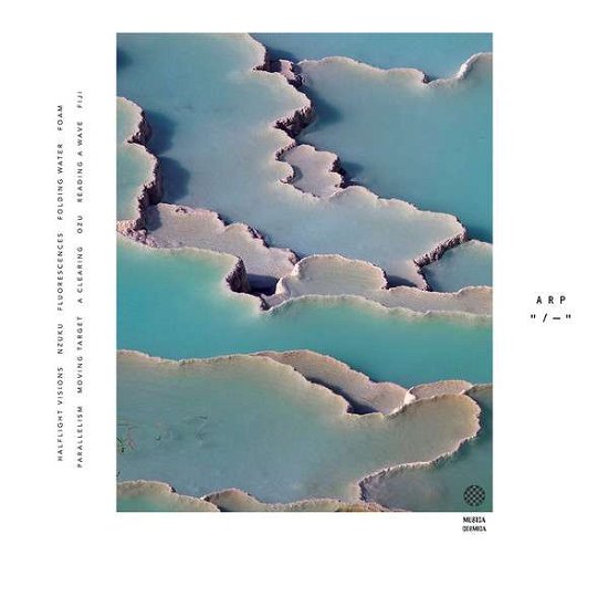Cover for Arp · Zebra (LP) (2018)