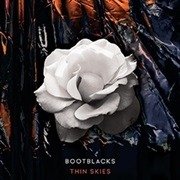 Cover for Bootblacks · Thin Skies (LP) (2020)