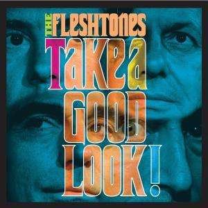 Cover for The Fleshtones · OOP: Take A Good Look (LP) (2008)