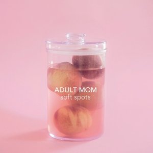 Cover for Adult Mom · Soft Spots (LP) (2017)