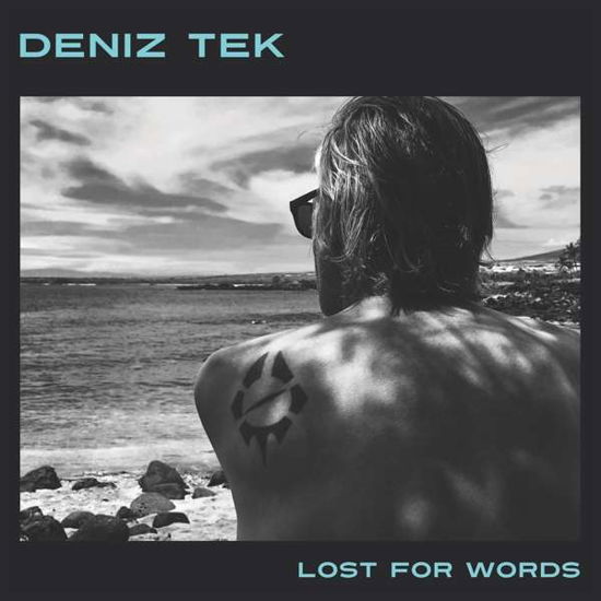 Cover for Deniz Tek · Lost for Words (LP) (2018)