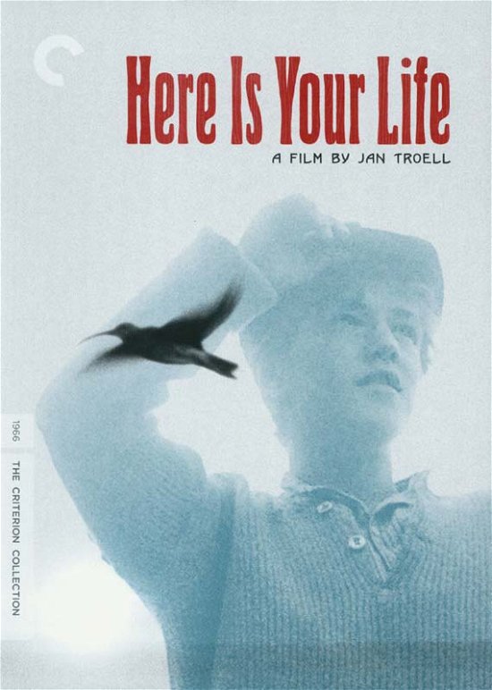 Cover for Criterion Collection · Here is Your Life / DVD (DVD) (2015)