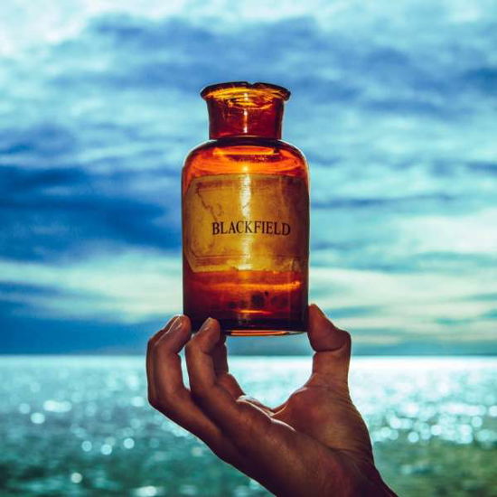 Cover for Blackfield · Blackfield V (LP) (2017)