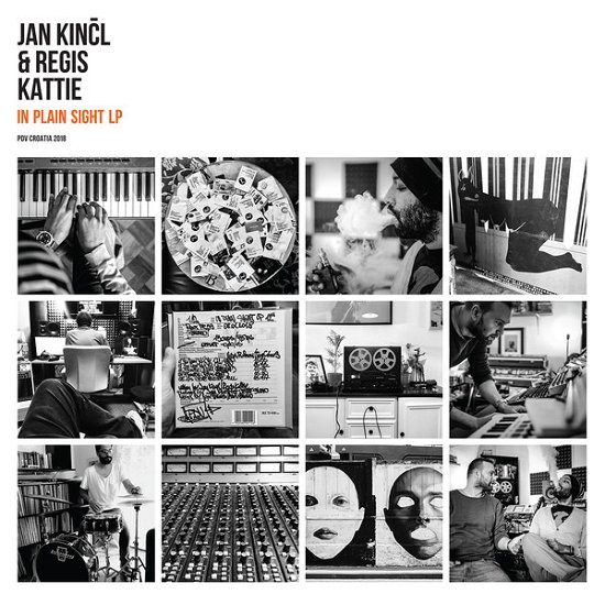 Cover for Kincl, Jan &amp; Regis Kattie · In Plain Sight (LP) (2019)