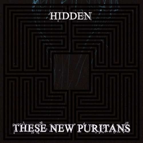 Cover for These New Puritans · Hidden (LP) [Standard edition] (2010)