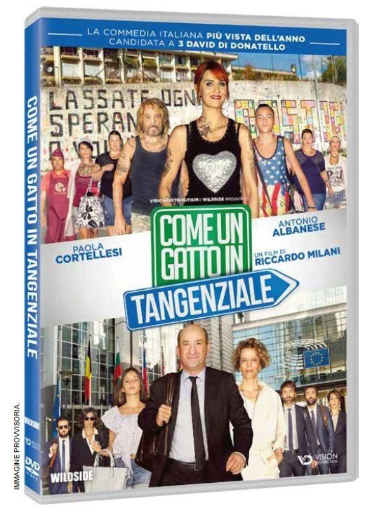 Cover for Come Un Gatto in Tangenziale (DVD) (2021)