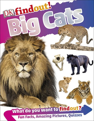 Cover for Dk · DKfindout! Big Cats - DKfindout! (Paperback Book) (2019)